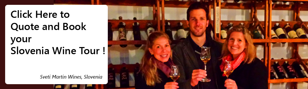 Click the box to book the best wine tours in Slovenia