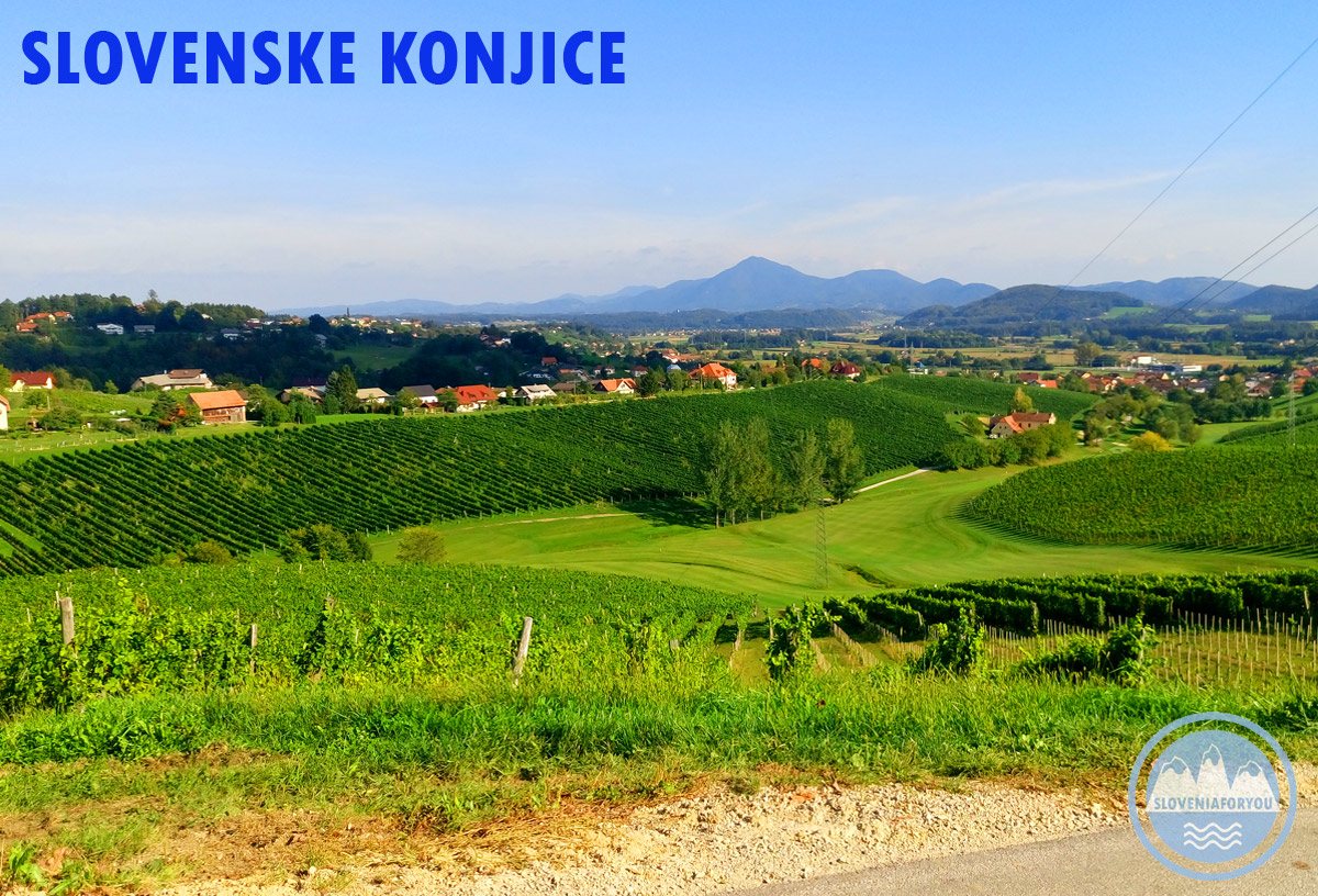Wine Regions of Slovenia - Slovenske Konjice - Sloveniaforyou's guide ...